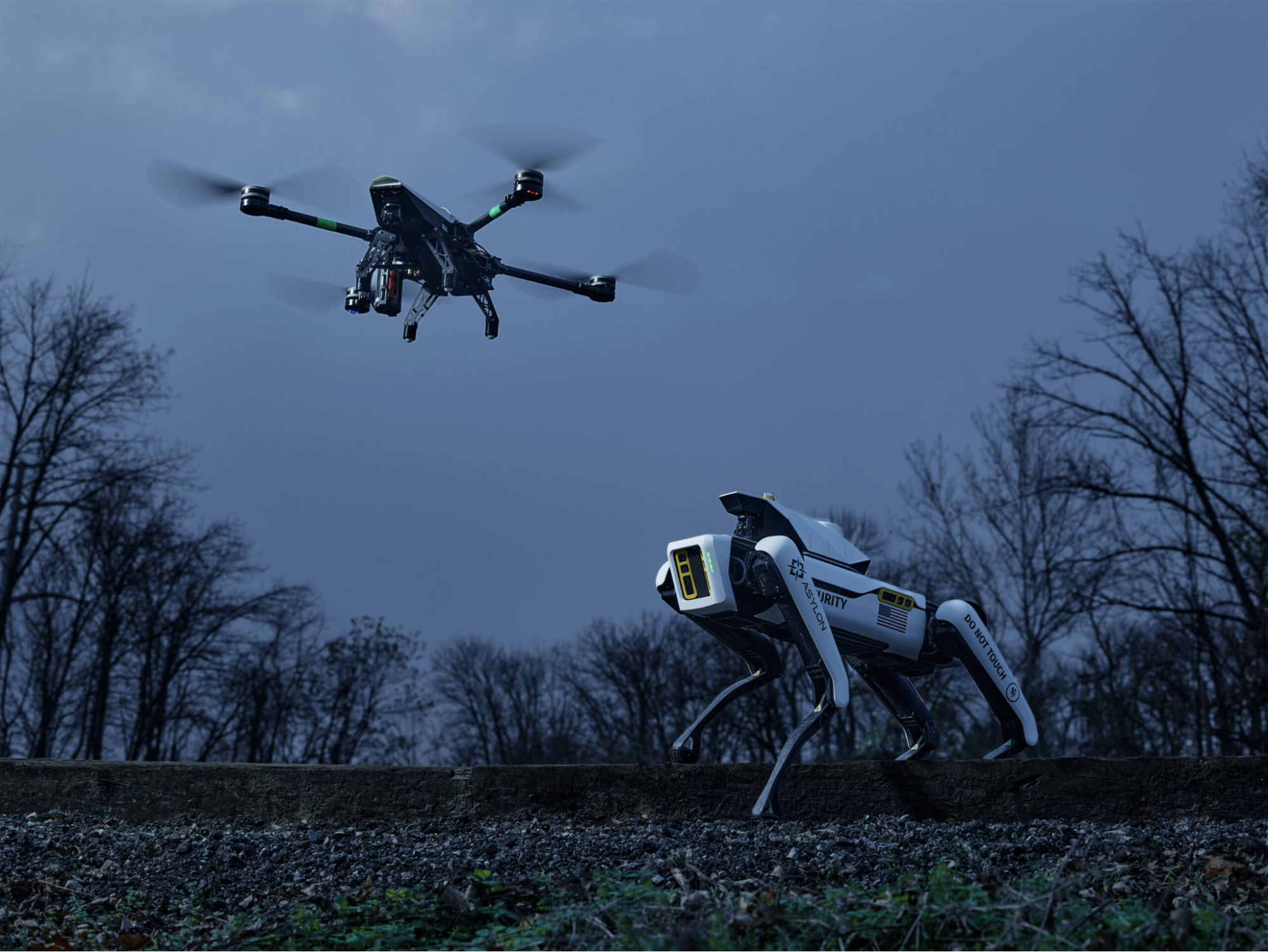 Drone copter & dog